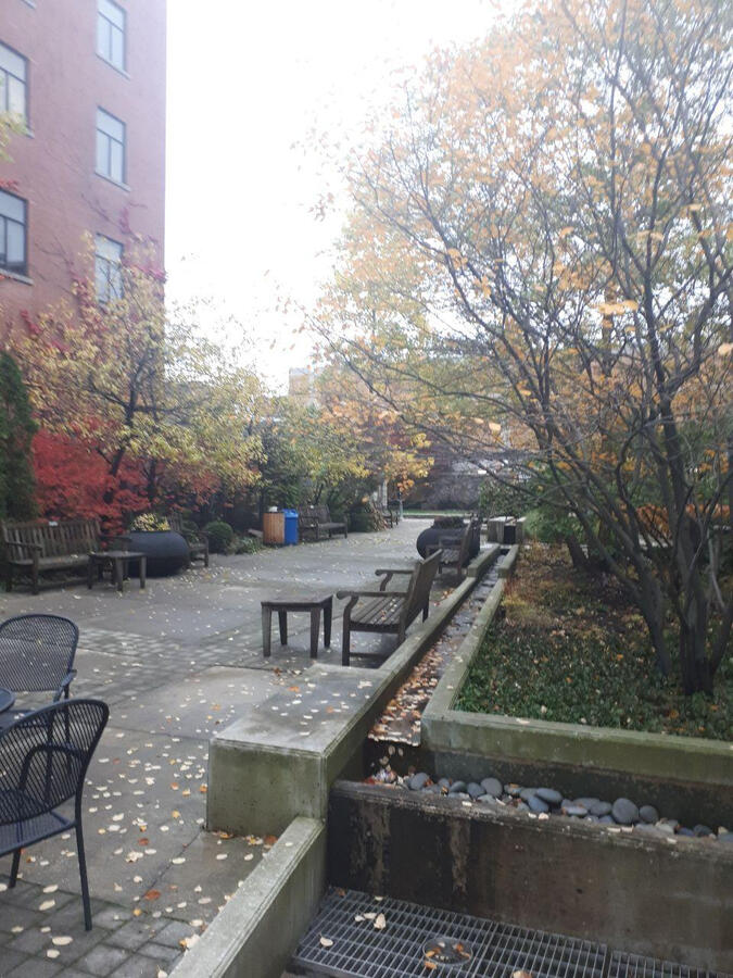 Untitled a garden in the other london